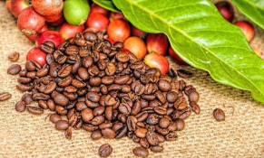 Trị giá xuất khẩu cà phê vẫn khả quan nhờ giá xuất khẩu ở mức cao