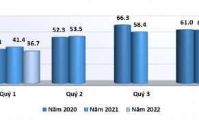 Xuất khẩu chè hầu hết giảm ở các thị trường chính