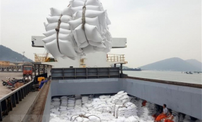 Xuất khẩu gạo của Việt Nam có thể đứng top 2 thế giới