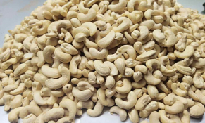 Xuất khẩu nhiều chủng loại hạt điều tăng trưởng khả quan