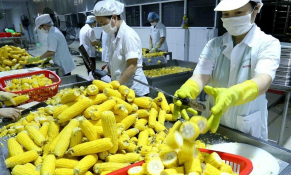 Xuất khẩu nông lâm thủy sản đạt 37,42 tỷ USD