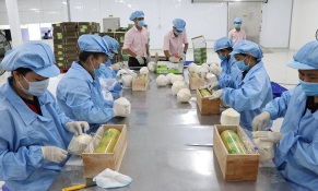 Xuất khẩu nông sản tăng trưởng khả quan dưới tác động đại dịch Covid-19