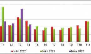 Xuất khẩu sắn nước ta vẫn phụ thuộc nhiều vào thị trường Trung Quốc