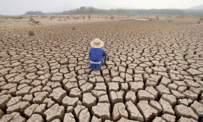 04 thủ tục hành chính mới trong lĩnh vực biến đổi khí hậu