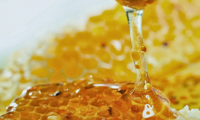 Bộ Thương mại Hoa Kỳ đưa ra kết luận cuối cùng về mức thuế chống bán phá giá mật ong của Việt Nam