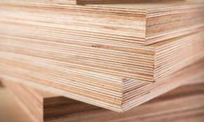 Hoa Kỳ gia hạn ban hành kết luận cuối cùng vụ điều tra chống lẩn tránh thuế chống bán phá giá với gỗ dán cứng Việt Nam