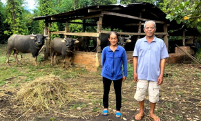 Tập trung hỗ trợ phát triển kinh tế cho đồng bào tỉnh Bình Phước