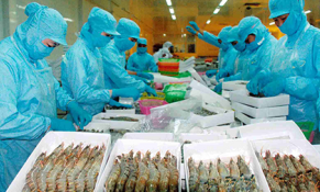 Loạt giải pháp tháo gỡ khó khăn cho doanh nghiệp thủy sản