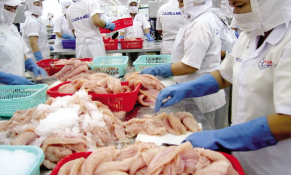 Một số lưu ý khi giao dịch kinh doanh với đối tác Nigeria