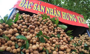 Từ 15/7, nhãn lồng Hưng Yên lên sàn thương mại điện tử