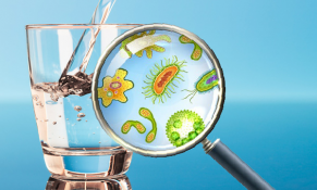 Cách đơn giản để kiểm tra nguồn nước nhà bạn có sạch hay không.