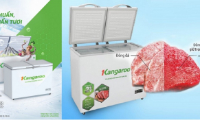 Hướng dẫn khử mùi khó chịu của tủ đông thực phẩm bằng công nghệ độc đáo