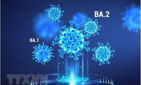 Triệu chứng Omicron ở người đã tiêm vắc xin phòng Covid -19