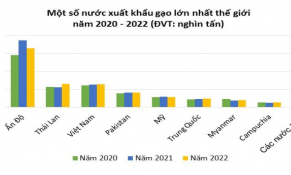 Dự báo xuất nhập khẩu gạo thế giới năm 2022