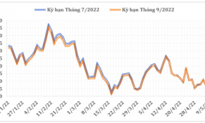 Giá cà phê thế giới tiếp tục xu hướng giảm do nguồn cung từ Brazil dồi dào