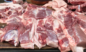 Giá heo Miền Bắc đã vọt lên 77.000 đồng/kg