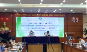 Người chăn nuôi có nguy cơ thua lỗ và chi phí thức ăn tăng mạnh