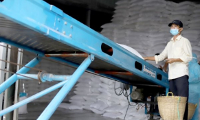 Xuất cấp không thu tiền gần 15.357 tấn gạo cho TP HCM và Long An