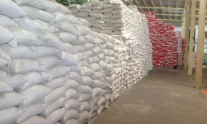 Xuất cấp không thu tiền hơn 4000 tấn gạo cho người dân vùng dịch