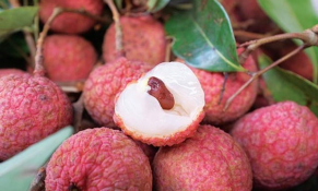 Hải Dương tổ chức Hội nghị xúc tiến thương mại vải thiều và sản phẩm tiêu biểu năm 2022