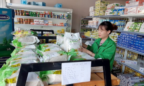 Hỗ trợ kết nối, tiêu thụ sản phẩm OCOP Điện Biên