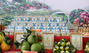 Năm 2021, An Giang sẽ tăng hạng sao cho 5-8 sản phẩm OCOP