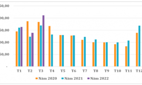 Tháng 3/2022: Xuất khẩu cà phê của Việt Nam ghi nhận mức cao kỷ lục