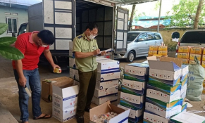 Tổng Cục QLTT và Cục Bảo vệ thực vật hợp tác cùng ngăn chặn vi phạm trong sản xuất, kinh doanh phân bón