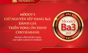 Ngân hàng phát triển bền vững trên nền tảng quản trị rủi ro vững chắc