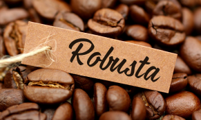 Xuất khẩu cà phê Robusta tăng trưởng khả quan trong năm 2022