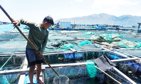 Chương trình Quốc gia phát triển nuôi trồng thủy sản giai đoạn 2021 -2030