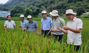 Yên Bái đẩy mạnh thu hút đầu tư, tạo động lực phát triển nông nghiệp