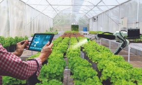 Xoay trục chiến lược để bứt phá trong kỷ nguyên xanh và số