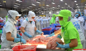 Doanh nghiệp thủy sản tăng tốc vào CPTPP: Cơ hội rộng mở nhưng yêu cầu chiến lược thận trọng