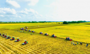 Bước đi chiến lược hướng tới nền nông nghiệp xanh, tuần hoàn và bền vững