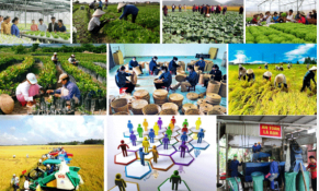 5 nhiệm vụ, giải pháp phát triển và nâng cao hiệu quả kinh tế tập thể