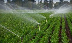 An ninh nguồn nước là thách thức cho ngành nông nghiệp Việt Nam