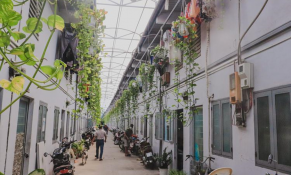 Phát triển quỹ nhà ở cho thuê dài hạn với giá rẻ