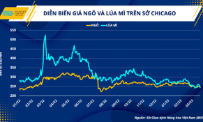 Doanh nghiệp chăn nuôi trong nước có thể giảm bớt gánh nặng chi phí