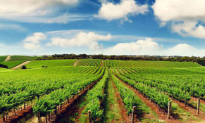 Chính phủ sửa đổi, bổ sung một số quy định về tín dụng đối với thương nhân, hộ gia đình sản xuất, kinh doanh tại vùng khó khăn