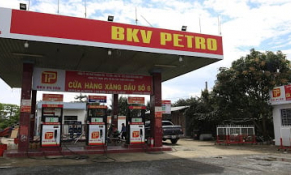 Công ty Bách Khoa Việt bị cưỡng chế thủ tục hải quan do nợ hàng trăm tỷ đồng thuế