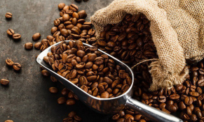 Xuất khẩu cà phê tháng 11/2023 tăng mạnh so với tháng trước