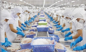 Tháng đầu năm xuất khẩu thủy sản sang Trung Quốc tăng gấp gần 3 lần