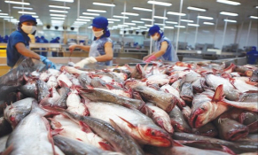 Xuất khẩu thủy sản tháng 9/2023 tiếp tục phục hồi, đạt mức giảm thấp nhất kể từ tháng 11/2022 đến nay