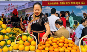 Cơ hội giao thương, mở rộng thị trường cho nông sản Việt