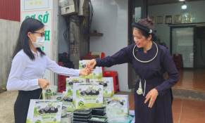 Tỉnh Cao Bằng nỗ lực đưa sản phẩm OCOP lên tầm cao mới