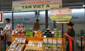 Hơn 130 sản phẩm OCOP đạt chuẩn 3 sao cấp tỉnh, Cao Bằng đẩy mạnh xúc tiến thương mại