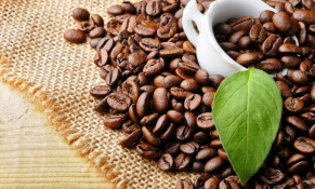 Xuất khẩu cà phê tăng trưởng 2 con số trong tháng 2/2023