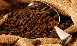 Giá xuất khẩu cà phê 8 tháng năm 2022 tăng hơn 21%