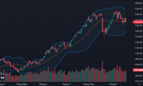 Ngừng giao dịch chứng khoán trực tuyến nếu chưa cập nhật Căn cước từ 01/10/2024